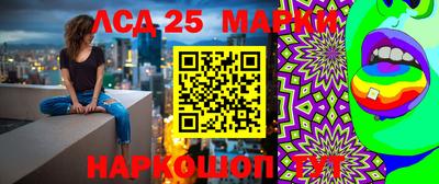 дмт Краснодар
