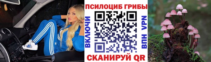 Псилоцибиновые грибы мицелий  Каменка 