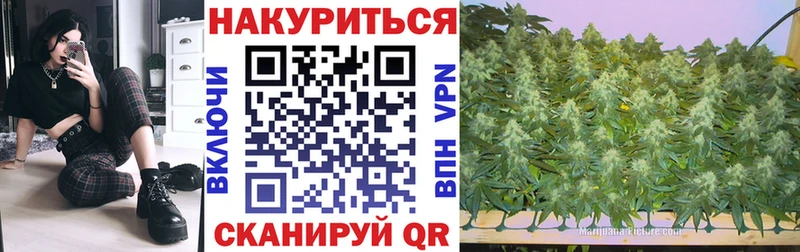 купить наркотик  Каменка  МАРИХУАНА марихуана 